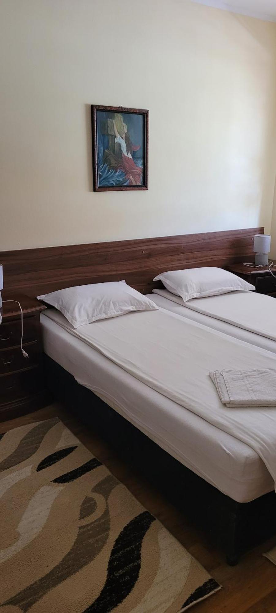 Vila Korona Satu Mare Kamer foto